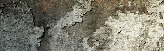 Schimmelpilz begutachten durch einen erfahrnen Bausachverst&auml;ndigen